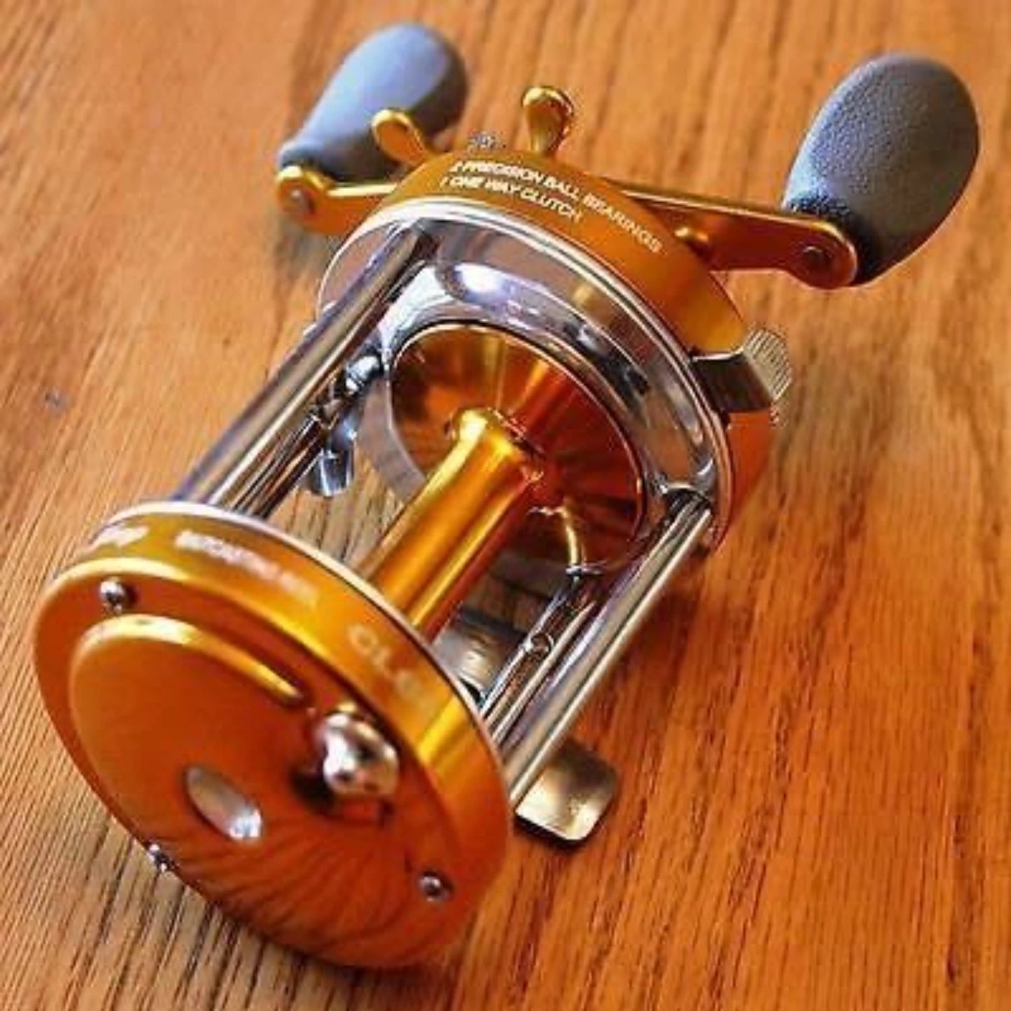 Gold CL60 Bait cast Fishing Reel Muskie Catfish & Saltwater.