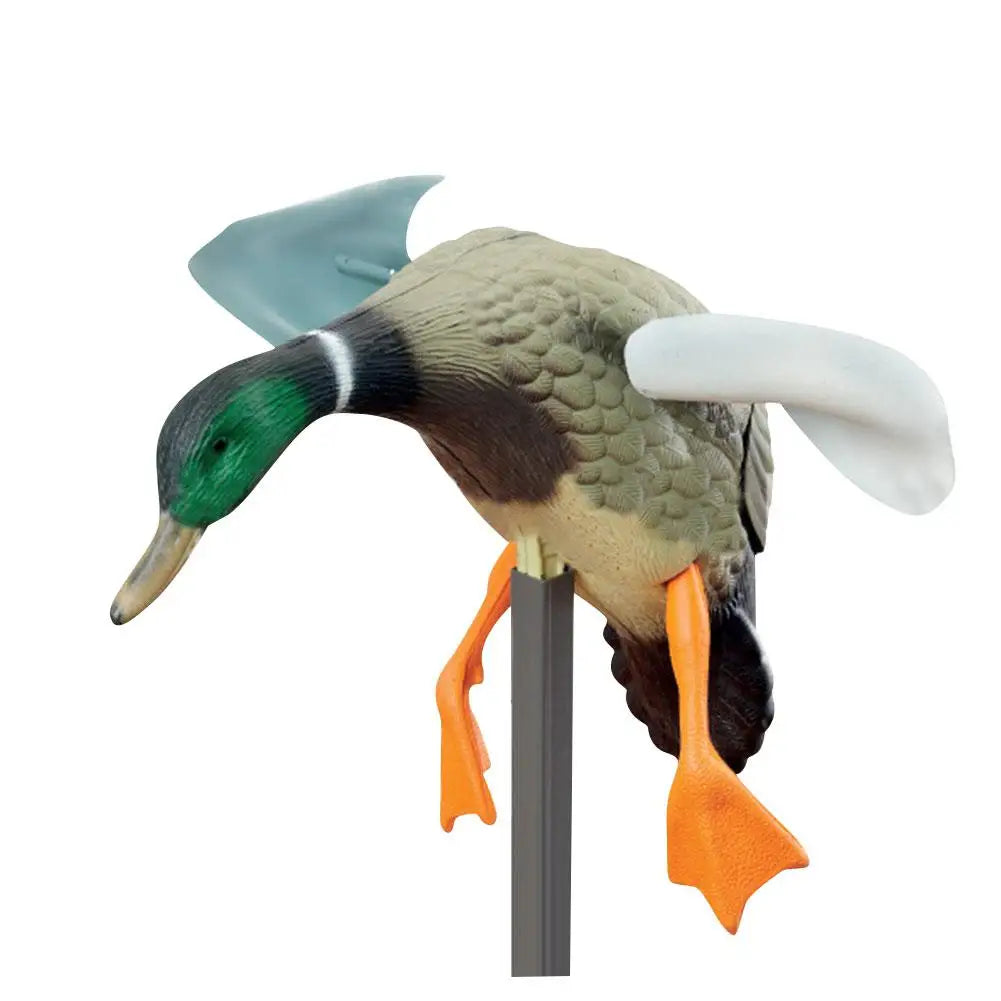 Flying Duck Decoy Mallard Duck