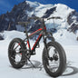 20 Inch Kids' Bike, 4-Inch Wide Fat Tire  Mountain Bike, 7 Speed