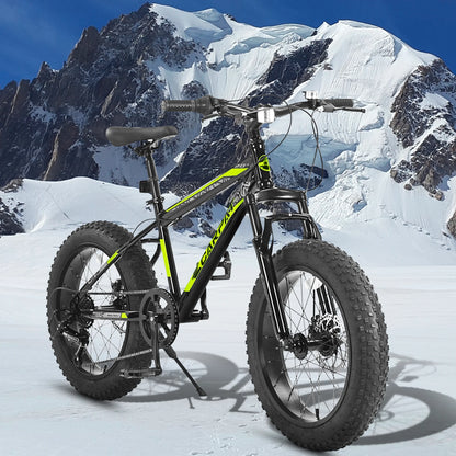 20 Inch Kids' Bike, 4-Inch Wide Fat Tire  Mountain Bike, 7 Speed