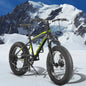 20 Inch Kids' Bike, 4-Inch Wide Fat Tire  Mountain Bike, 7 Speed