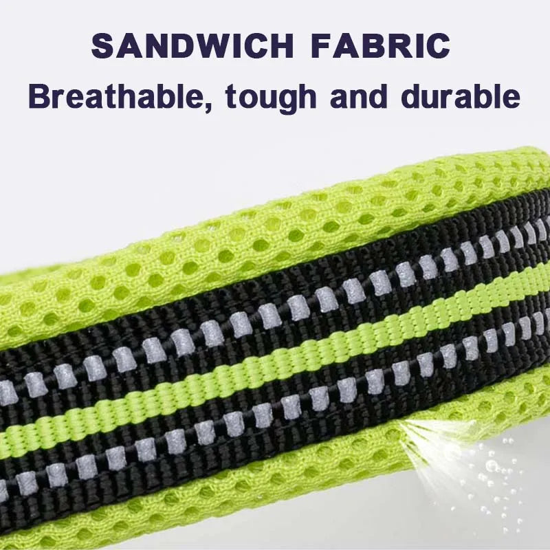 Dog Walking Collar Comfort Padded with Buckle Nylon Traveling Collar.