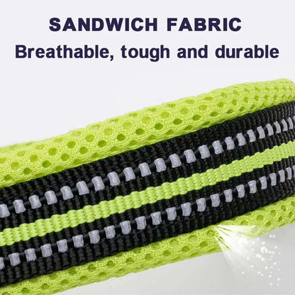 Dog Walking Collar Comfort Padded with Buckle Nylon Traveling Collar.