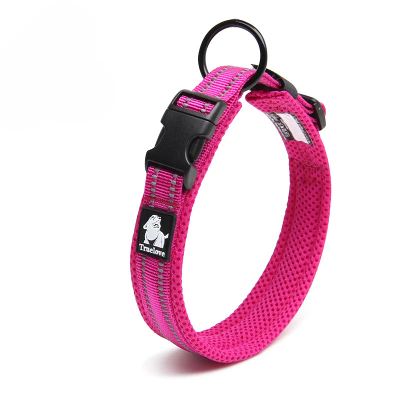 Dog Walking Collar Comfort Padded with Buckle Nylon Traveling Collar.