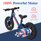 Electric Bike For Kids Ages 3-5 Years Old Kids 24V 100W.