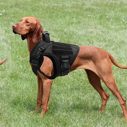 Medium and large dog tactical vest nylon water-repellent tactical training.