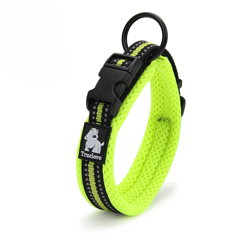 Dog Walking Collar Comfort Padded with Buckle Nylon Traveling Collar.