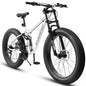 26 inch Mountain Bike, Full-Suspension 21 Speeds