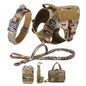 Large Dog Harness And Leash Set .