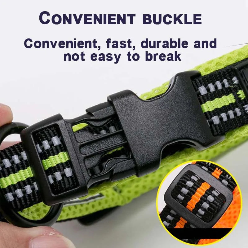 Dog Walking Collar Comfort Padded with Buckle Nylon Traveling Collar.