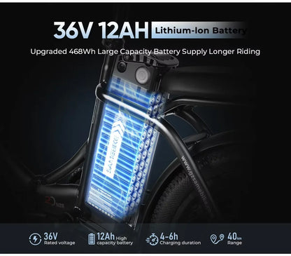 E-bike 350W Motor 36V 12AH Removable Battery Electric Bike Folding.