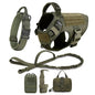 Large Dog Harness And Leash Set .