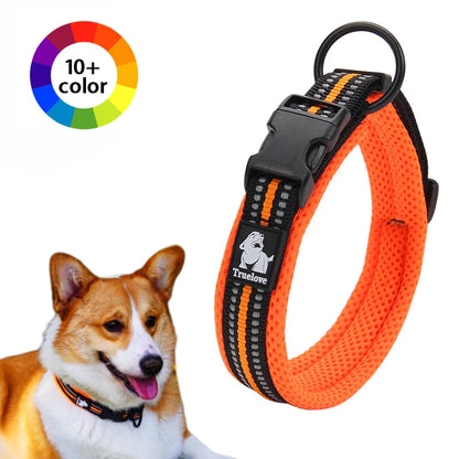 Dog Walking Collar Comfort Padded with Buckle Nylon Traveling Collar.