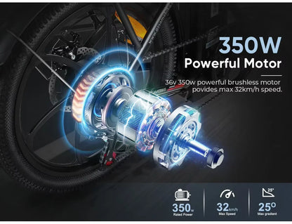 E-bike 350W Motor 36V 12AH Removable Battery Electric Bike Folding.