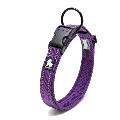 Dog Walking Collar Comfort Padded with Buckle Nylon Traveling Collar.