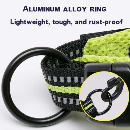 Dog Walking Collar Comfort Padded with Buckle Nylon Traveling Collar.