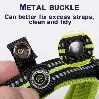 Dog Walking Collar Comfort Padded with Buckle Nylon Traveling Collar.