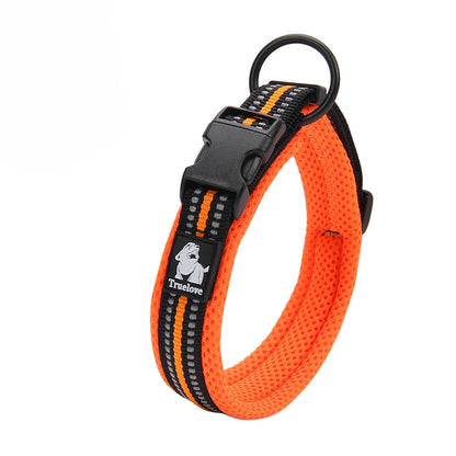 Dog Walking Collar Comfort Padded with Buckle Nylon Traveling Collar.