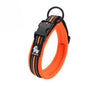 Dog Walking Collar Comfort Padded with Buckle Nylon Traveling Collar.