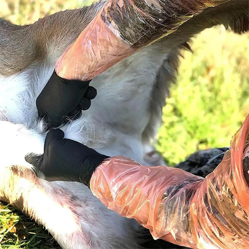 Disposable Outdoor Animal Cleaning Gloves set Multipurpose.