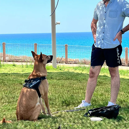 Dog Harness Vest ID Patch Customized Reflective Breathable Adjustable.