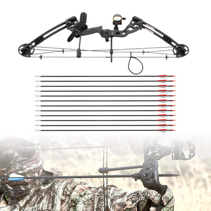 Compound Bow Right Hand Hunting Kit with Sight,, Stabilizer, Shock Absorber.