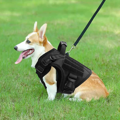 Medium and large dog tactical vest nylon water-repellent tactical training.