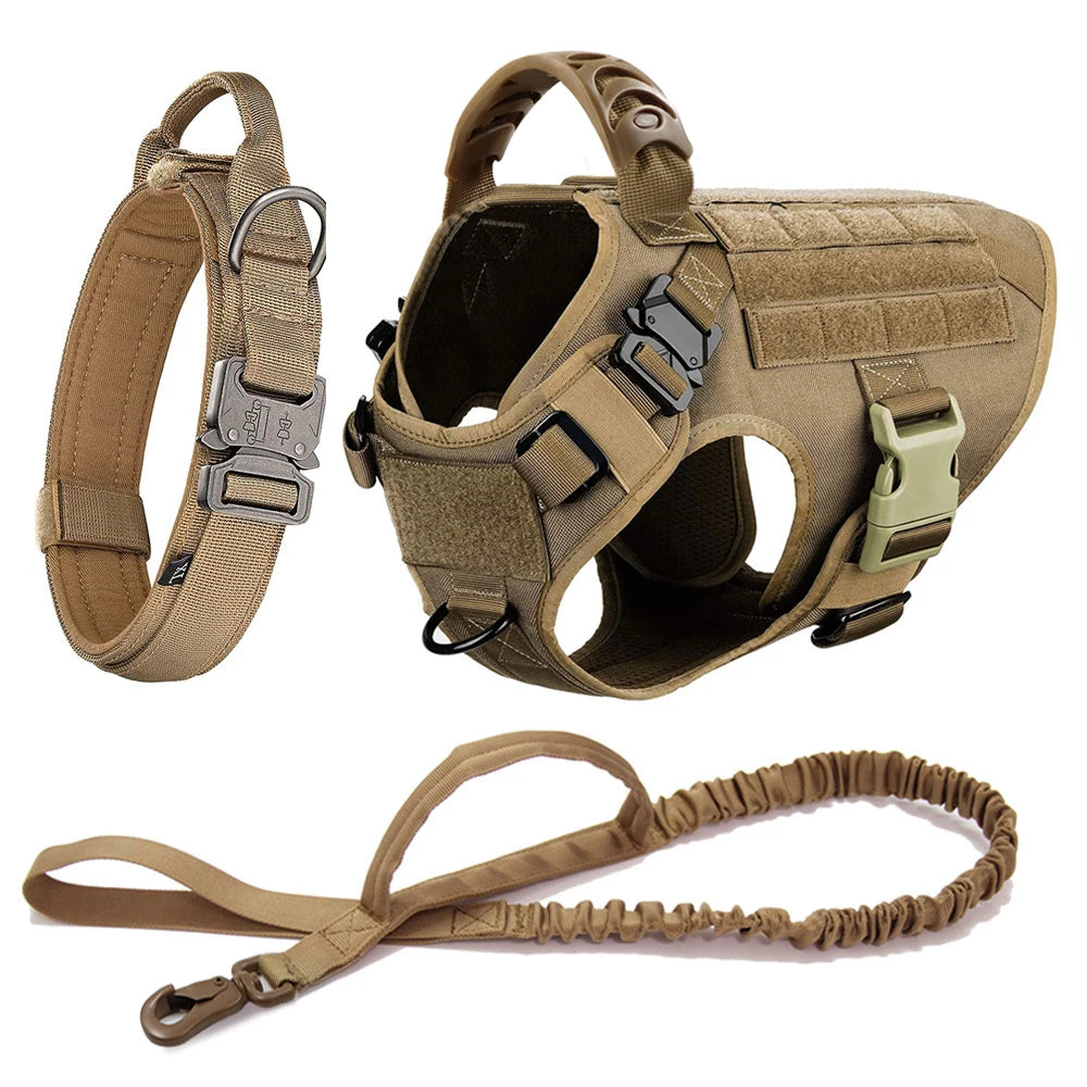 Large Dog Harness And Leash Set .