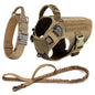 Large Dog Harness And Leash Set .