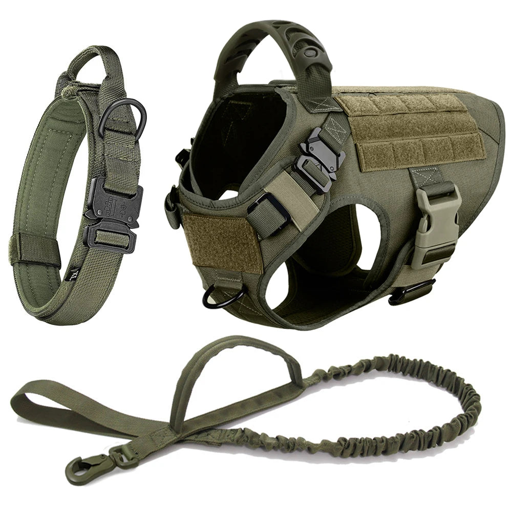 Large Dog Harness And Leash Set .