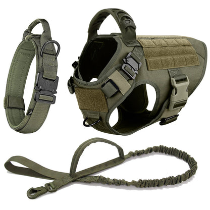 Large Dog Harness And Leash Set .